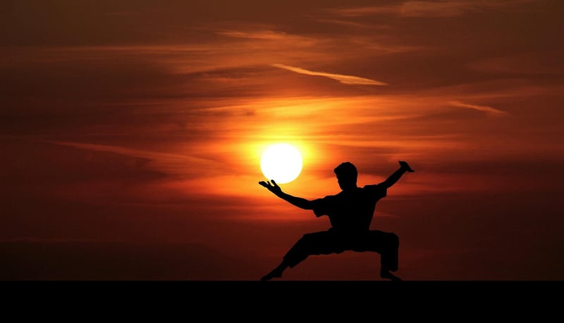 Tai Chi for Wellness